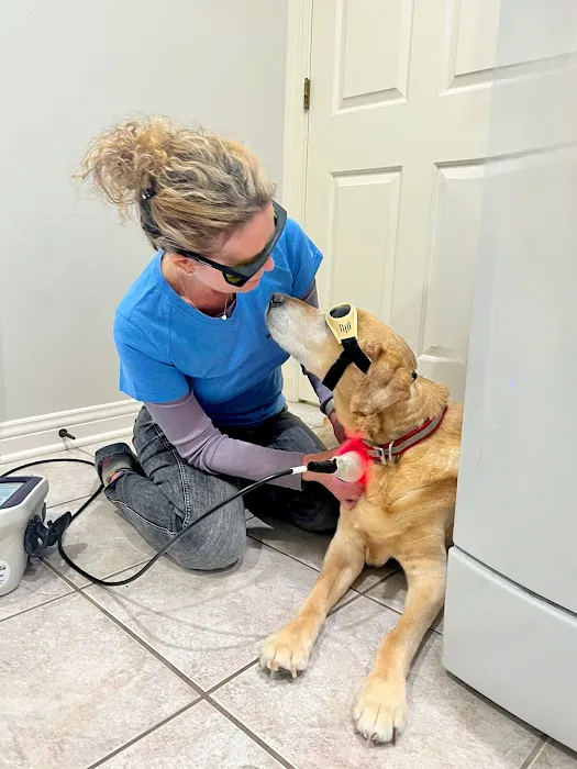 The Comfort Vet Picture 3