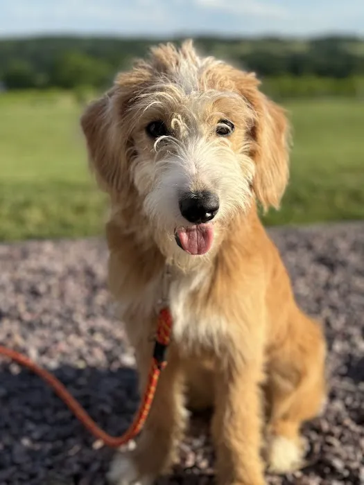 Knight Veterinary Clinic LLC Picture 2