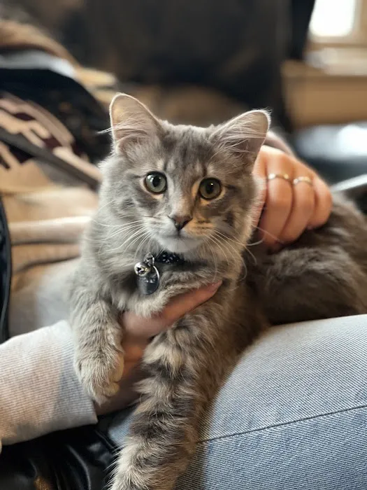 Knight Veterinary Clinic LLC Picture 1