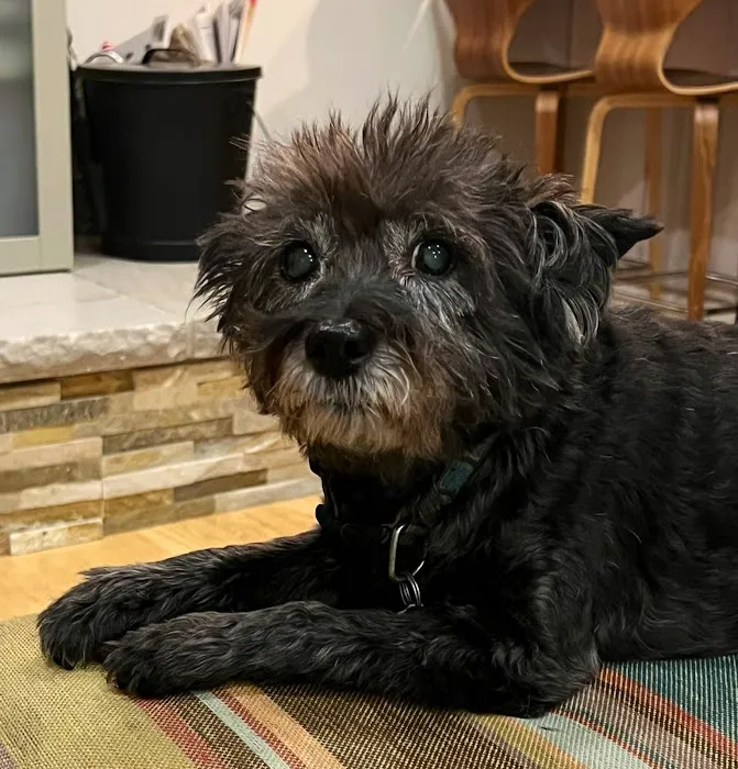 Knight Veterinary Clinic LLC Picture 5