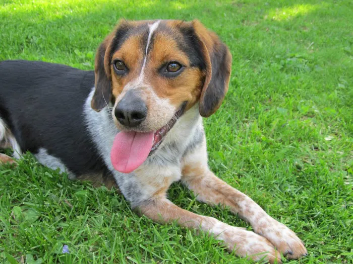 Knight Veterinary Clinic LLC Picture 6