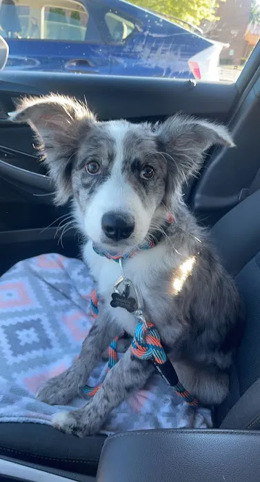 Knight Veterinary Clinic LLC Picture 3