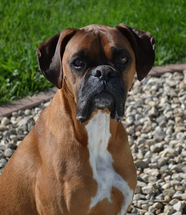 Knight Veterinary Clinic LLC Picture 7