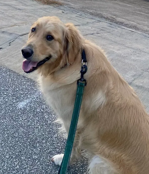 Knight Veterinary Clinic LLC Picture 9