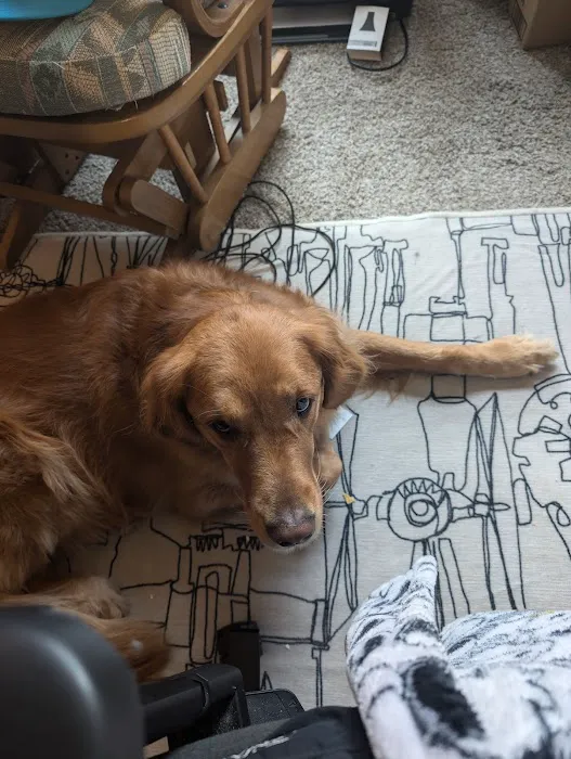 Sandhill Pet Clinic Picture 3