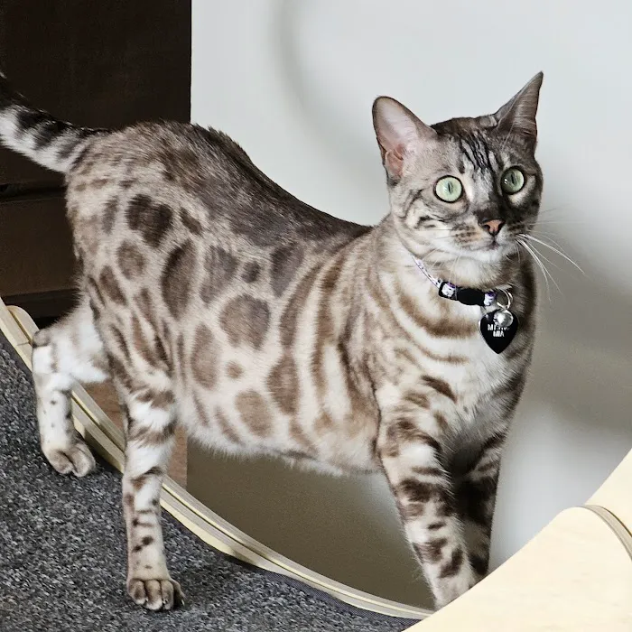 Sandhill Pet Clinic Picture 2