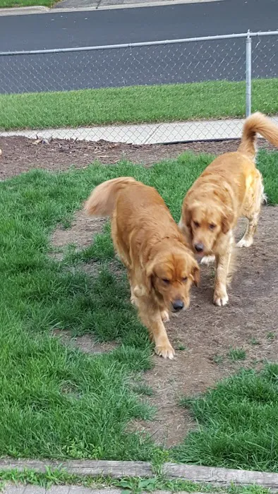 Sandhill Pet Clinic Picture 1