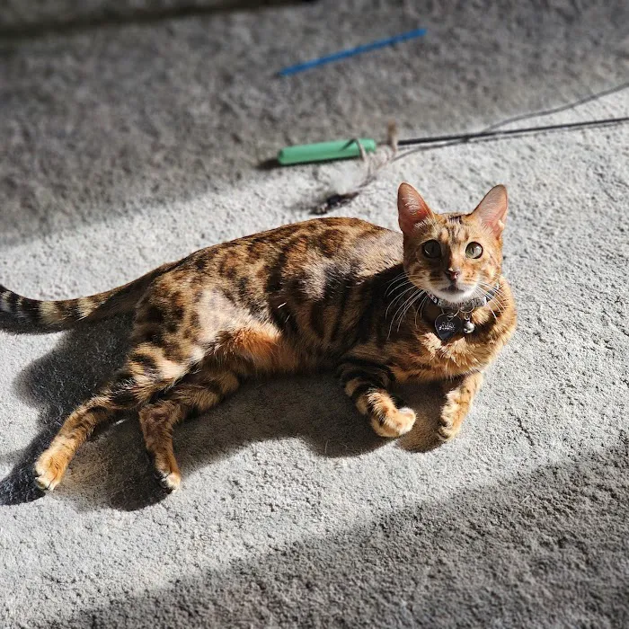 Sandhill Pet Clinic Picture 4