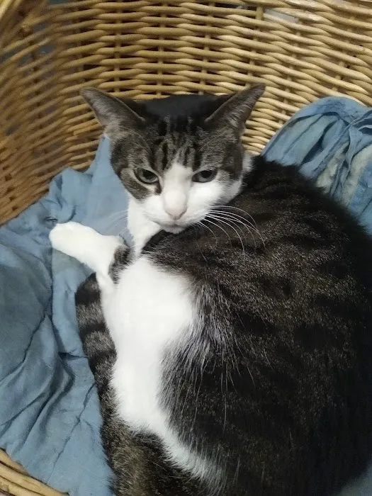 Sandhill Pet Clinic Picture 7