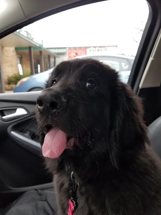 Sandhill Pet Clinic Picture 6