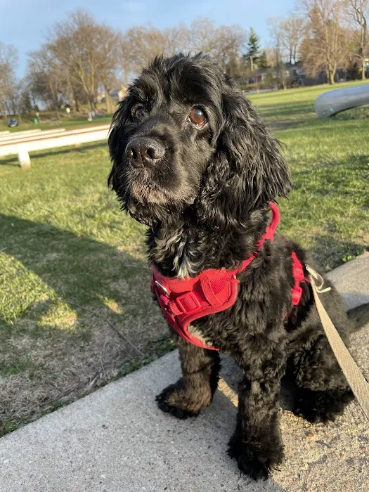Sandhill Pet Clinic Picture 9