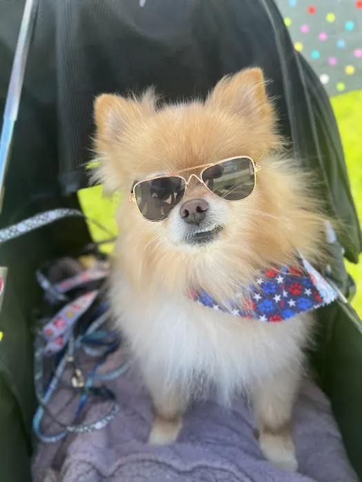 Sandhill Pet Clinic Picture 10