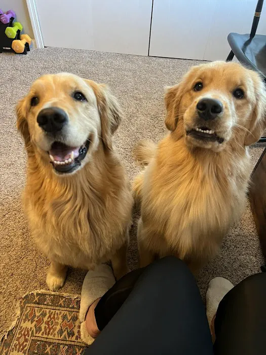 Sandhill Pet Clinic Picture 8