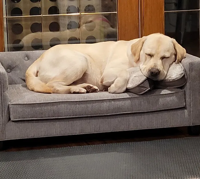 Truesdell Animal Care Hospital & Clinic Picture 3