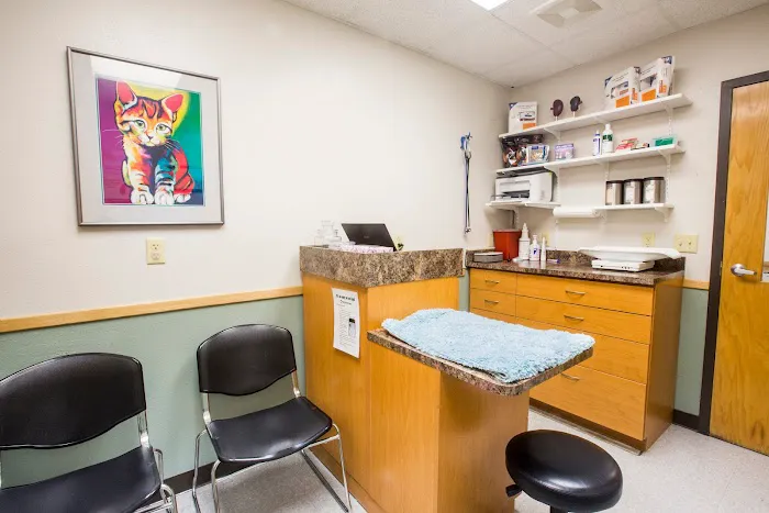 Truesdell Animal Care Hospital & Clinic Picture 5