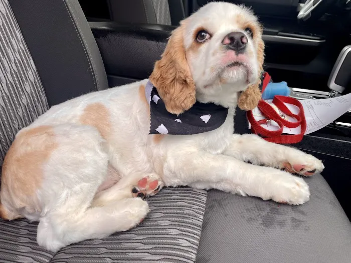 Truesdell Animal Care Hospital & Clinic Picture 1