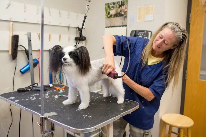 Truesdell Animal Care Hospital & Clinic Picture 8