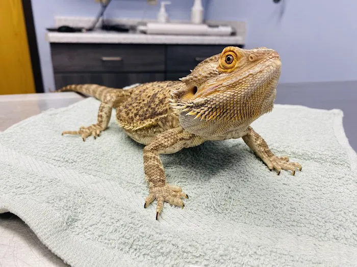 Truesdell Animal Care Hospital & Clinic Picture 6