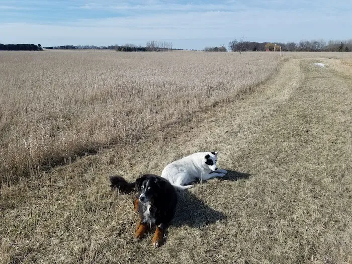 Back 2 Basics Vet Clinic Picture 5