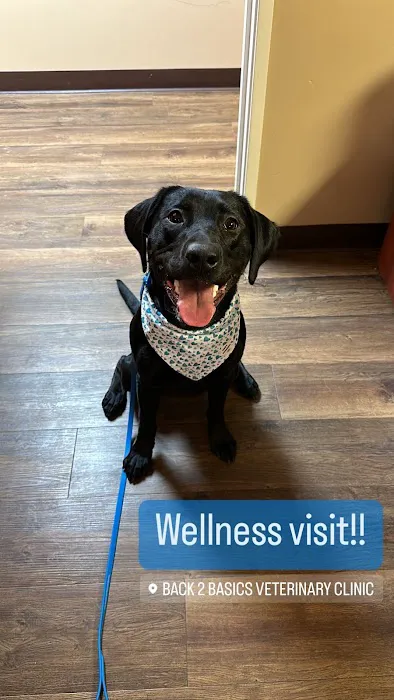 Back 2 Basics Vet Clinic Picture 3