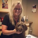 Back 2 Basics Vet Clinic