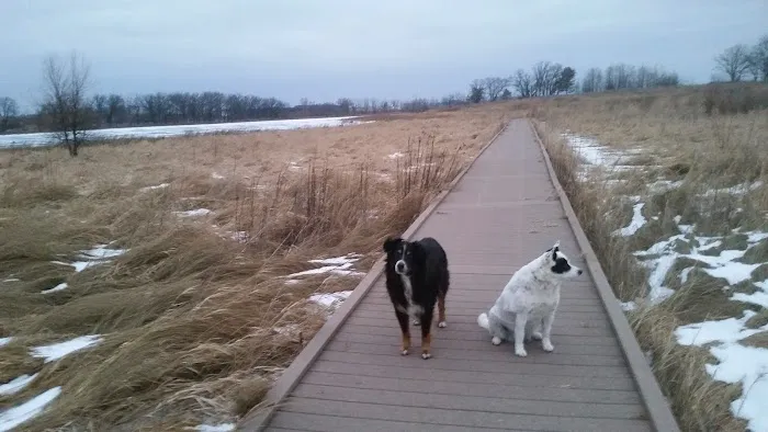 Back 2 Basics Vet Clinic Picture 6