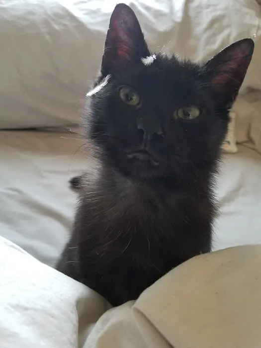 Back 2 Basics Vet Clinic Picture 7