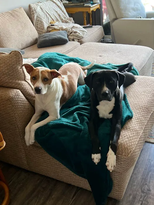 Back 2 Basics Vet Clinic Picture 8