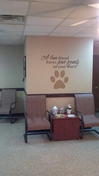 Back 2 Basics Vet Clinic Picture 10