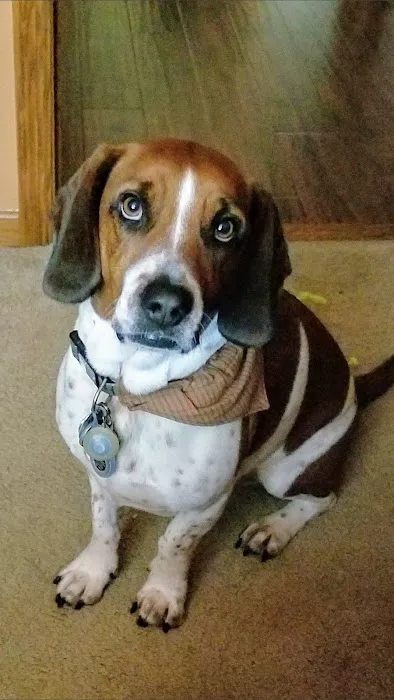 Deer Grove Veterinary Clinic Picture 5