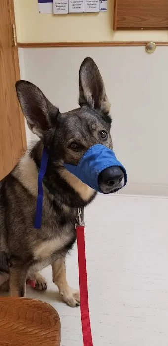 Deer Grove Veterinary Clinic Picture 1