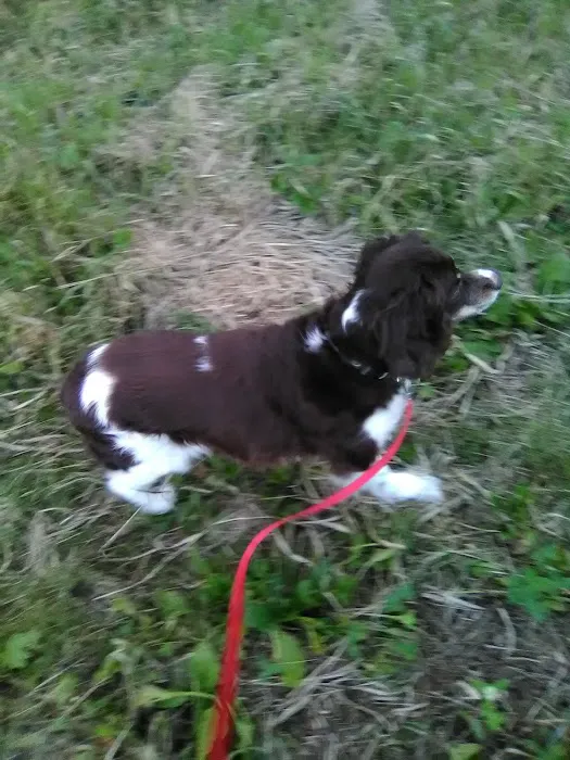 Deer Grove Veterinary Clinic Picture 2