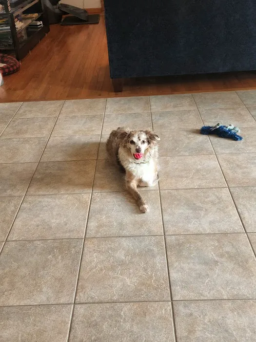 Deer Grove Veterinary Clinic Picture 4