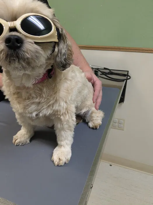 Deer Grove Veterinary Clinic Picture 6