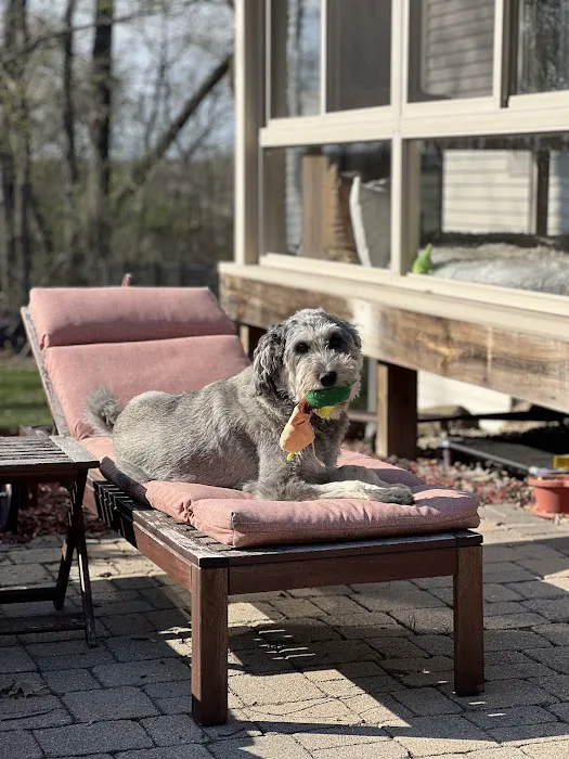 Deer Grove Veterinary Clinic Picture 7