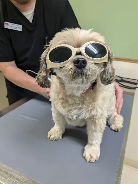 Deer Grove Veterinary Clinic Picture 9