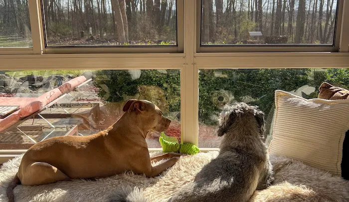 Deer Grove Veterinary Clinic Picture 8