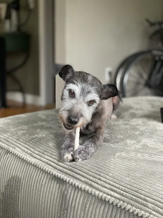 Sauk Point Veterinary Clinic Picture 5