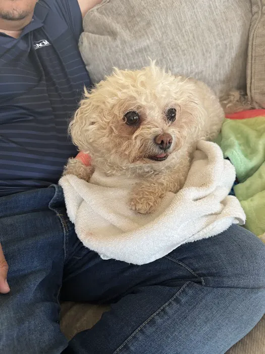 Sauk Point Veterinary Clinic Picture 6