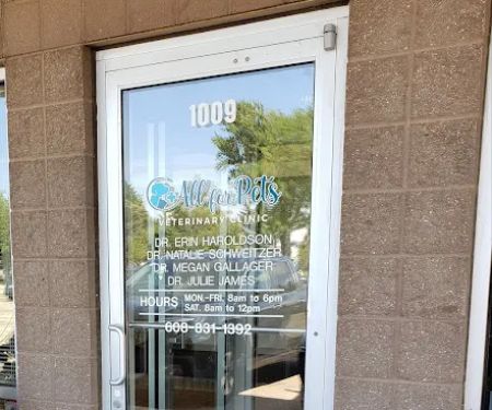 Dr Natalie Schweitzer, DVM