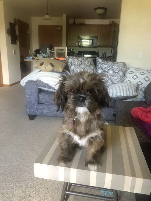 All for Pets Veterinary Clinic Picture 8