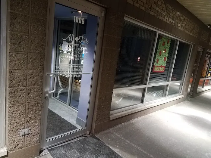 All for Pets Veterinary Clinic Picture 10