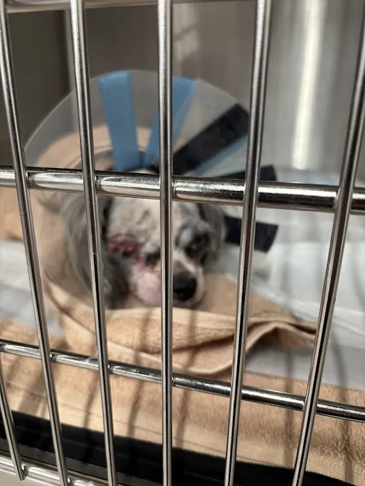 Veterinary Emergency Group Picture 1