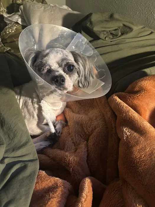 Veterinary Emergency Group Picture 2