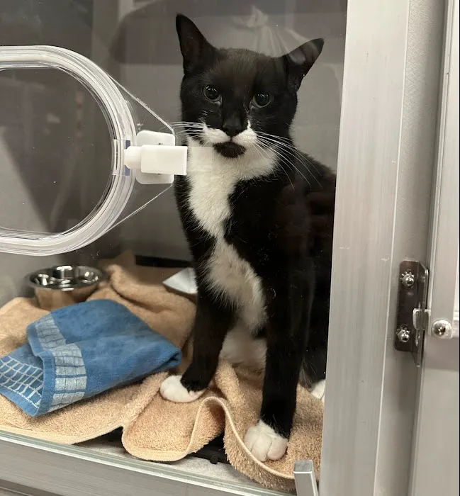 Veterinary Emergency Group Picture 5