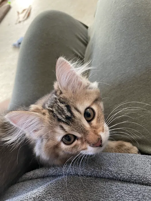 Veterinary Emergency Group Picture 4