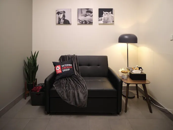 Veterinary Emergency Group Picture 9