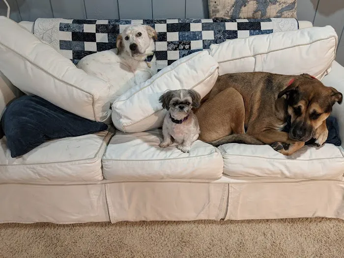 A Breed Apart Animal Hospital Picture 2