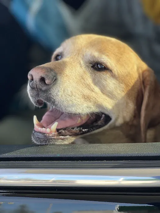 A Breed Apart Animal Hospital Picture 1