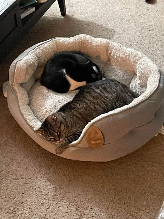 A Breed Apart Animal Hospital Picture 6